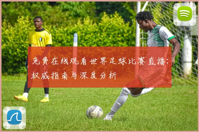 免费在线观看世界足球比赛直播：权威指南与深度分析